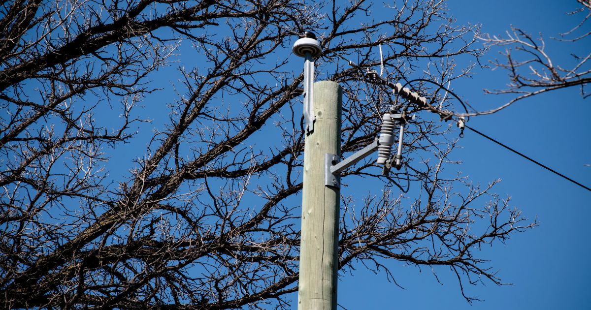 【空き家管理】木が電線に接触するリスクと効果的な防止策を解説！