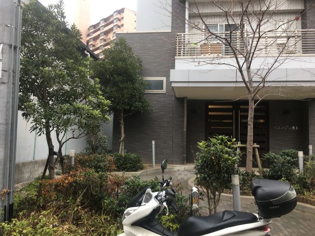 マンションと植栽