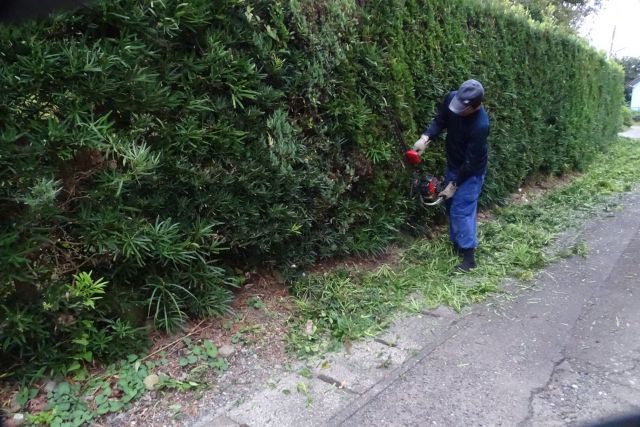 剪定してる植木職人